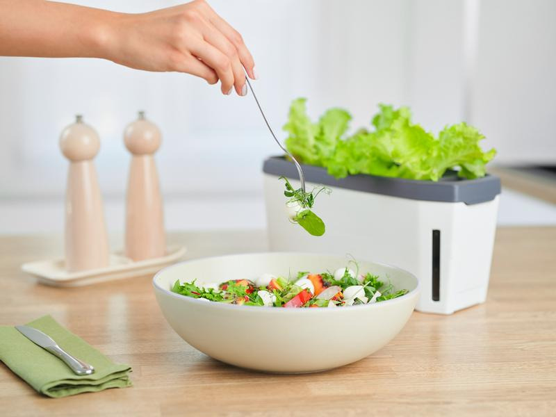 Gusta Garden Kräutertopf HARRY HERBS mit Haube, Weiss