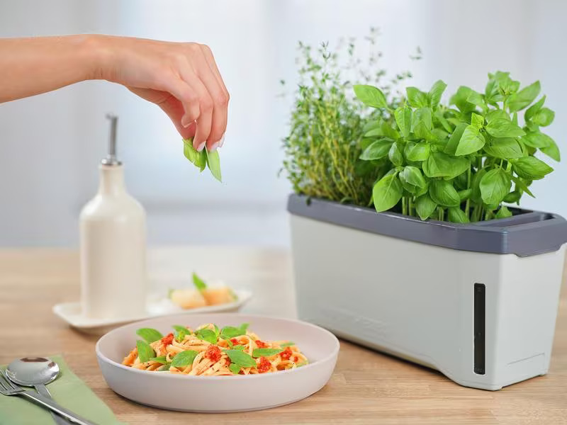 Gusta Garden Kräutertopf HARRY HERBS mit Haube, Hellgrau