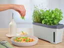 Gusta Garden Kräutertopf HARRY HERBS mit Haube, Hellgrau