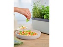 Gusta Garden Kräutertopf HARRY HERBS mit Haube, Hellgrau