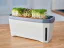 Gusta Garden Kräutertopf HARRY HERBS mit Haube, Hellgrau