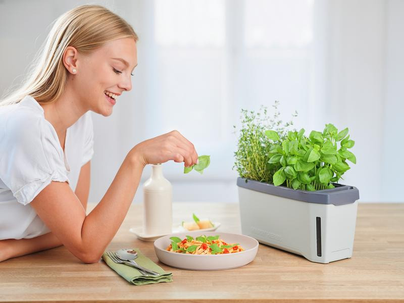 Gusta Garden Kräutertopf HARRY HERBS mit Haube, Hellgrau