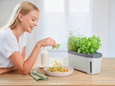 Gusta Garden Kräutertopf HARRY HERBS mit Haube, Hellgrau