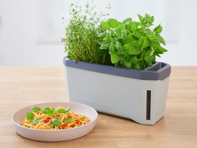 Gusta Garden Kräutertopf HARRY HERBS mit Haube, Hellgrau