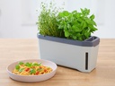 Gusta Garden Kräutertopf HARRY HERBS mit Haube, Hellgrau