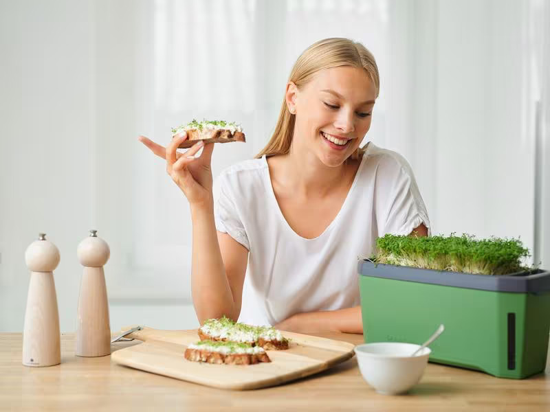 Gusta Garden Kräutertopf HARRY HERBS mit Haube, Dunkelgrün