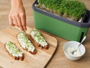 Gusta Garden Kräutertopf HARRY HERBS mit Haube, Dunkelgrün
