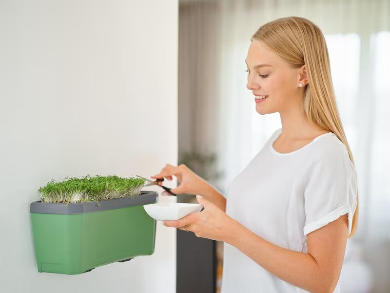 Gusta Garden Kräutertopf HARRY HERBS mit Haube, Dunkelgrün