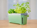 Gusta Garden Kräutertopf HARRY HERBS mit Haube, Dunkelgrün