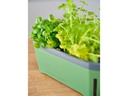 Gusta Garden Kräutertopf HARRY HERBS mit Haube, Dunkelgrün