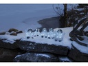 Konstsmide LED-Figur Acrylic 12.5cm Pinguine 5er Set