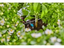 Gardena Reihentropfer Micro-Drip-System 2 L