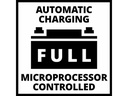 Einhell Automotive Batterieladegerät CE-BC 6 M 12 V