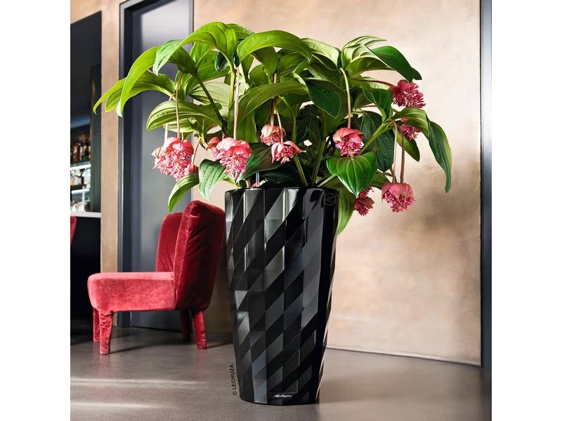 Lechuza Blumentopf Diamante Premium 40, Schwarz