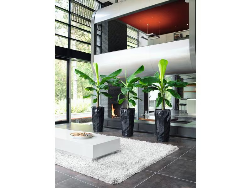 Lechuza Blumentopf Diamante Premium 40, Schwarz