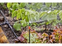 Gardena Verlängerungsrohr für Sprühdüsen Micro-Drip-System