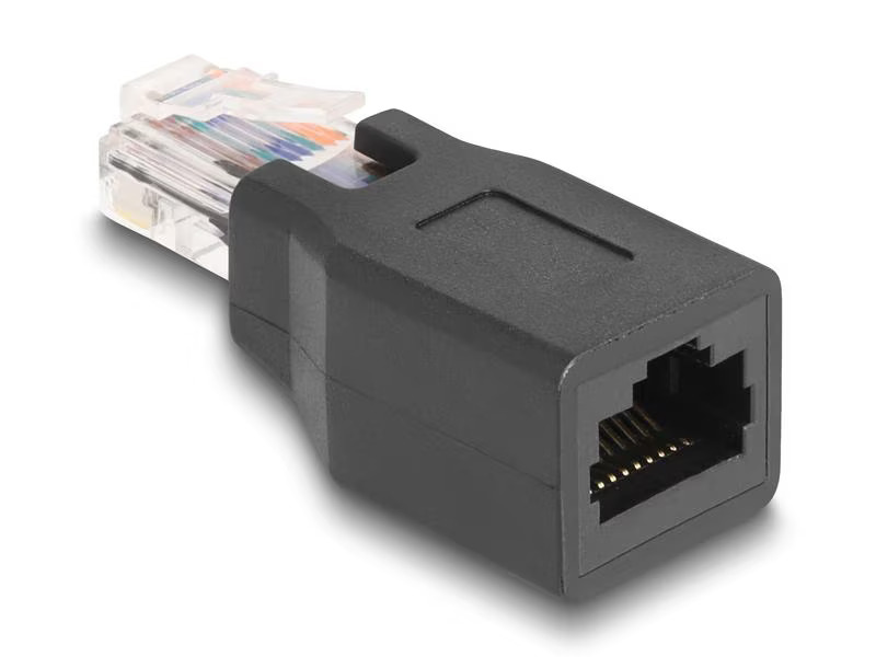 Delock Netzwerkadapter RJ45/48/50 Stecker/Buchse 1 Stück