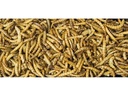 JR Farm Mehlwürmer, 70 g