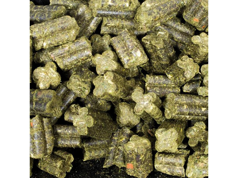 JR Farm Hauptfutter Complete Meerschweinchen Grainless, 1350 g