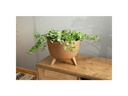 Neogard AG Blumentopf Roma Eco, Ø 47 cm, Wood