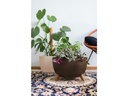 Neogard AG Blumentopf Roma Eco, Ø 24 cm, Coffee