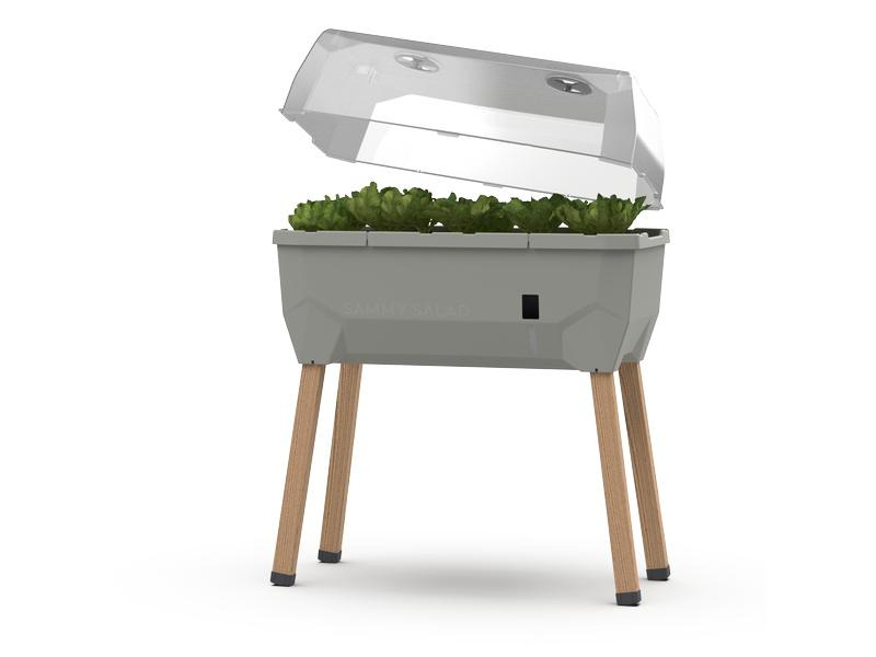 Gusta Garden Deckel zu SAMMY SALAD Transparent