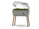Gusta Garden Deckel zu SAMMY SALAD Transparent