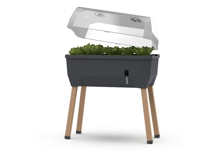 Gusta Garden Deckel zu SAMMY SALAD Transparent