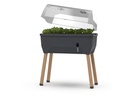 Gusta Garden Deckel zu SAMMY SALAD Transparent