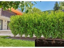 Gardena Tropfrohr 1.6 l/h 50M Micro-Drip-System