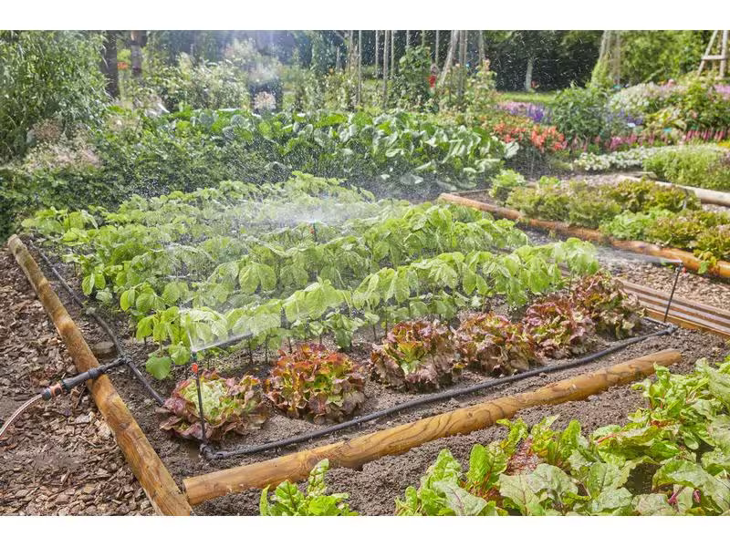 Gardena Start-Set Tropfbewässerung für Gemüse Micro-Drip-System