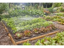 Gardena Start-Set Tropfbewässerung für Gemüse Micro-Drip-System