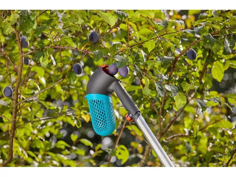 Gardena Combisystem-Beerensammler