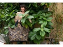 Reisenthel Tasche Classic Shopper XL Sumatra