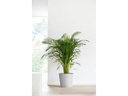 Ecopots Pflanzentopf Venice 40, Hellgrau