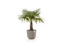 Ecopots Pflanzentopf Oslo 55, French Taupe