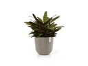 Ecopots Pflanzentopf Oslo 45, French Taupe