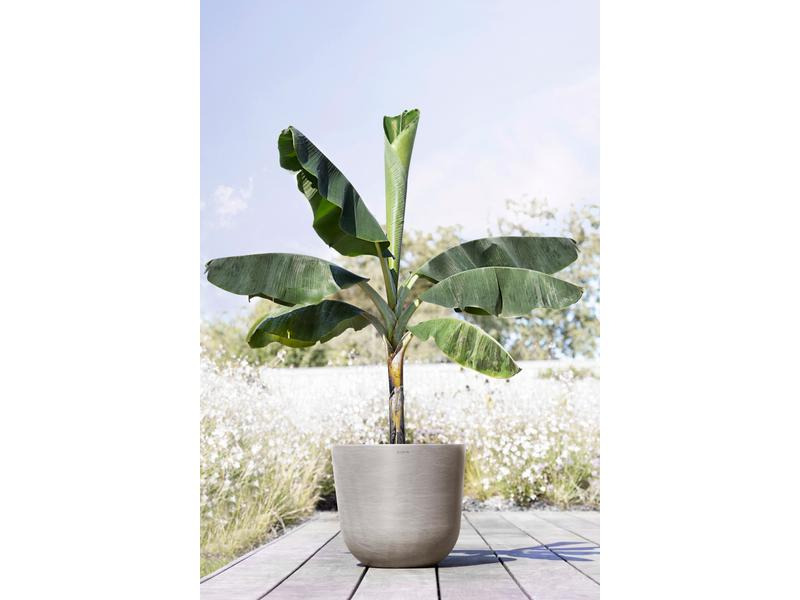 Ecopots Pflanzentopf Oslo 45, French Taupe