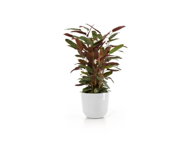 Ecopots Pflanzentopf Oslo 35, Weiss