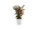 Ecopots Pflanzentopf Oslo 35, Weiss