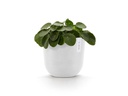 Ecopots Pflanzentopf Oslo 25, Weiss