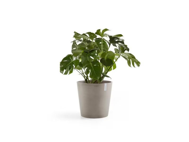 Ecopots Pflanzentopf Amsterdam 50, French Taupe