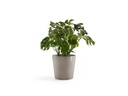 Ecopots Pflanzentopf Amsterdam 50, French Taupe