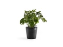 Ecopots Pflanzentopf Amsterdam 50, Dunkelgrau