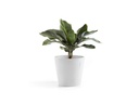 Ecopots Pflanzentopf Amsterdam 40, Weiss