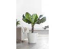 Ecopots Pflanzentopf Amsterdam 40, Weiss