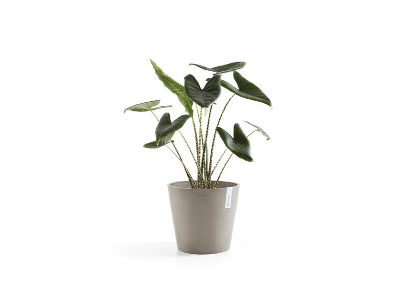 Ecopots Pflanzentopf Amsterdam 40, French Taupe