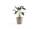 Ecopots Pflanzentopf Amsterdam 40, French Taupe