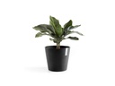 Ecopots Pflanzentopf Amsterdam 40, Dunkelgrau