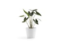 Ecopots Pflanzentopf Amsterdam 30, Weiss